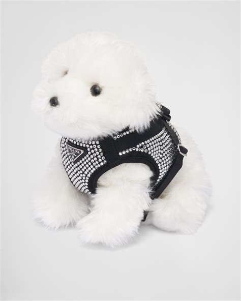 prada vet|Prada luxury dog accessories.